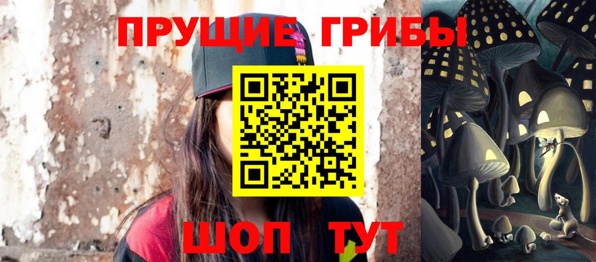 Псилоцибиновые грибы Psilocybe Протвино