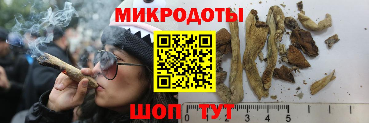 где купить наркоту  Вход с VPN  Протвино  Псилоцибиновые грибы мухоморы  Псилоцибиновые грибы Cubensis 